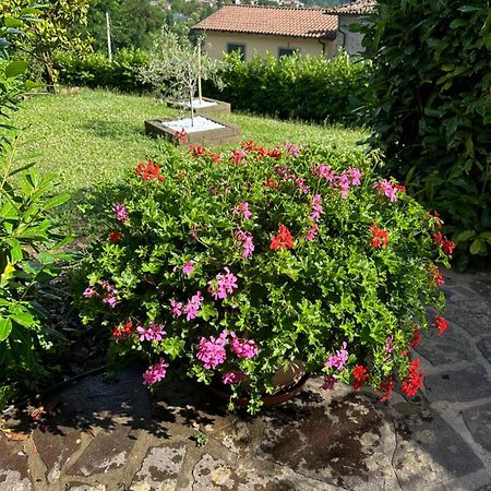 Casa Margherita Celide San Romano in Garfagnana Ngoại thất bức ảnh